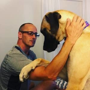 Meet your Posher, Paul